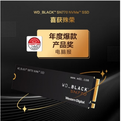 西部數據（Western Digital）1TB SSD固態硬盤 M.2接口