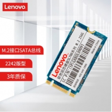 聯想（Lenovo) 256GB SSD固態硬盤 M.2接口(SATA總線) SL700固態寶系列 2242板型